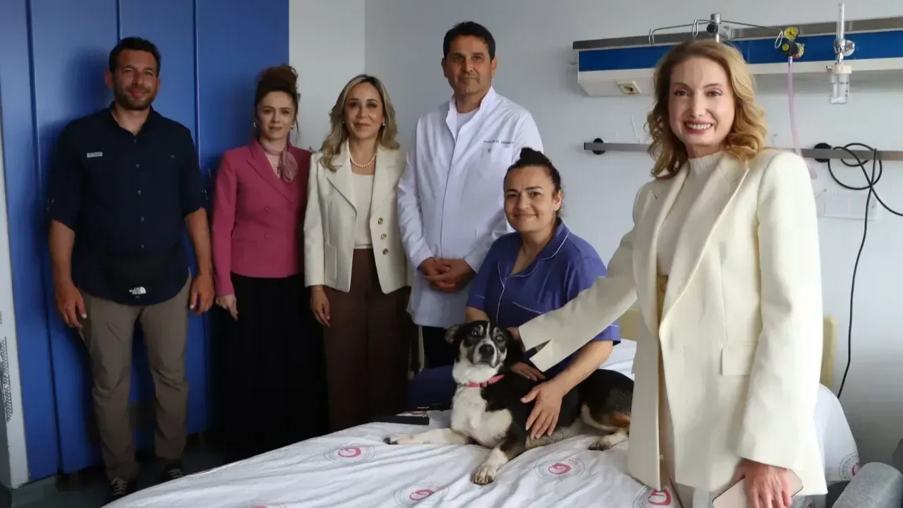 Doktorlar ayakta! AKP'li vekil ameliyat olan hastaları köpekle ziyaret etti