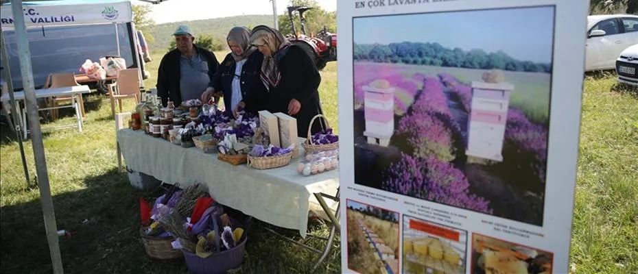 Edirne’de Apiturizm ile Doğal Turizm Canlanıyor